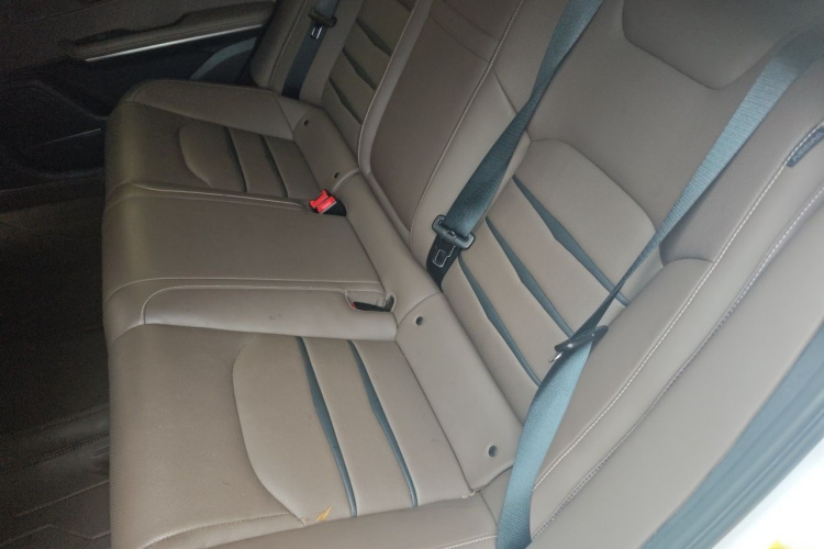 BYD Han 2021 car image #14