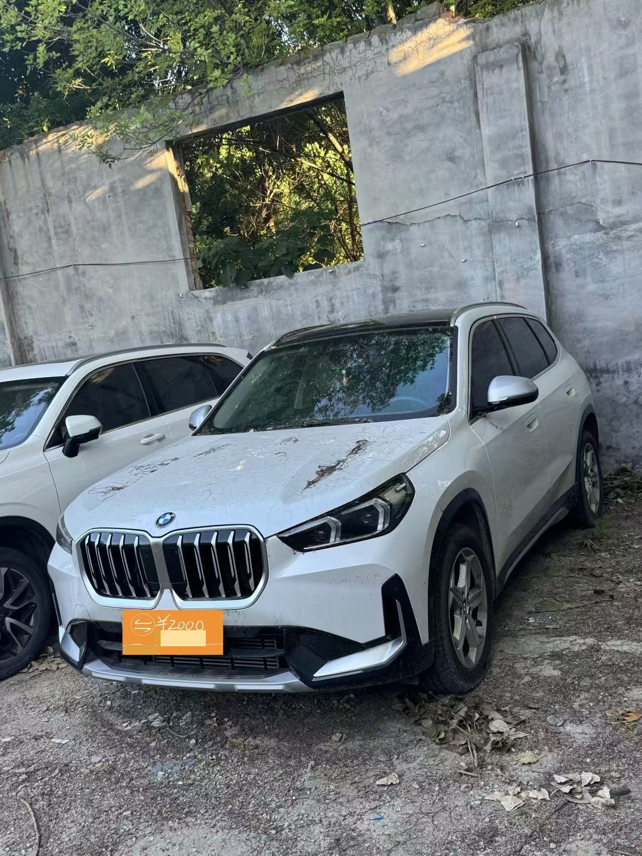 BMW X1 2023 BMW X1 2023 car image
