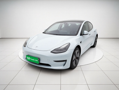 Tesla Model 3 2021 Tesla Model 3 2021 car image