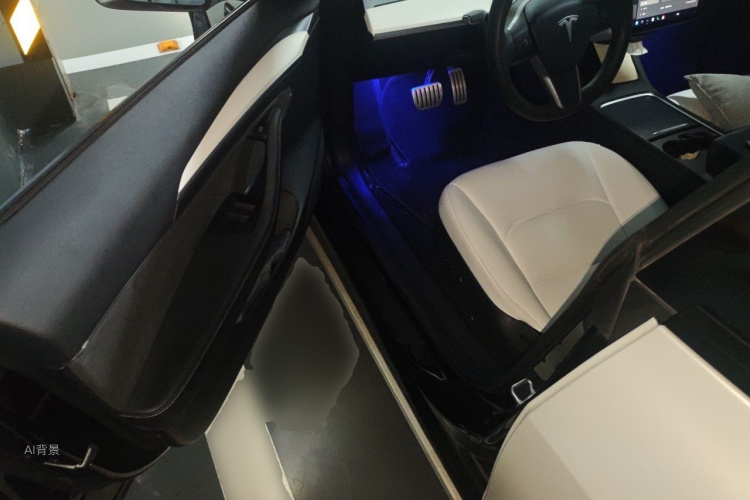 Tesla Model 3 2021 #18 Tesla Model 3 2021 car image #18