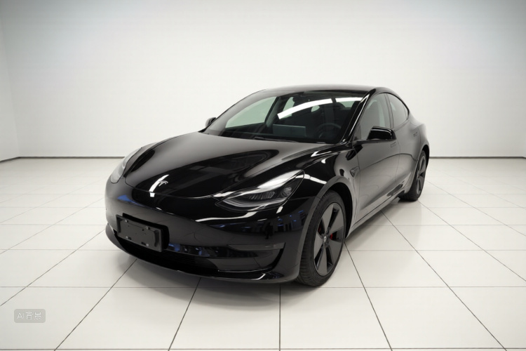 Tesla Model 3 2021 #2 Tesla Model 3 2021 car image #2