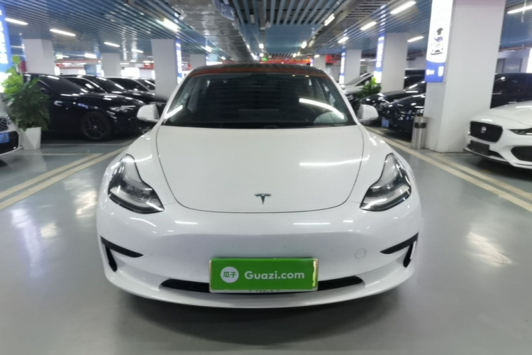 Tesla Model 3 2020 car image #3