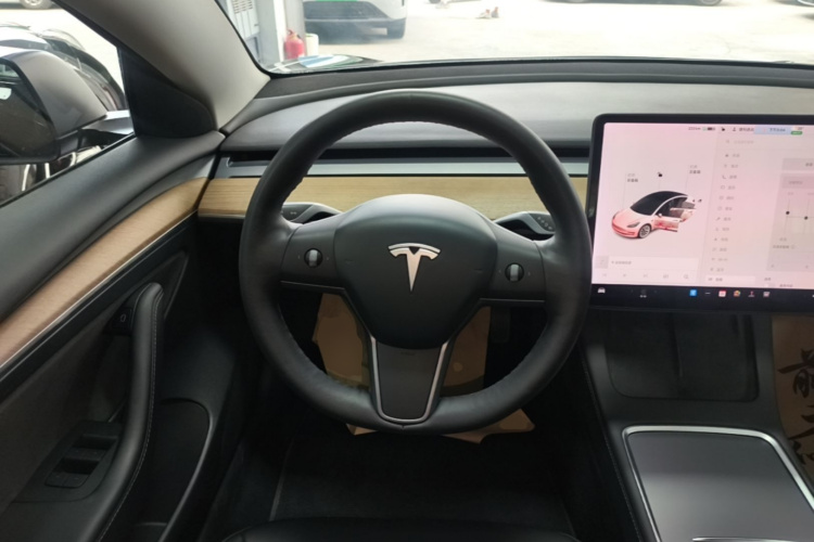Tesla Model 3 2021 car image #15