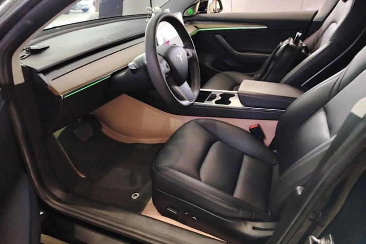 Tesla Model 3 2021 #15 Tesla Model 3 2021 car image #15