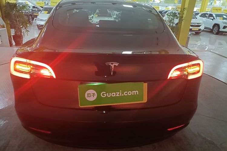 Tesla Model 3 2021 #4 Tesla Model 3 2021 car image #4