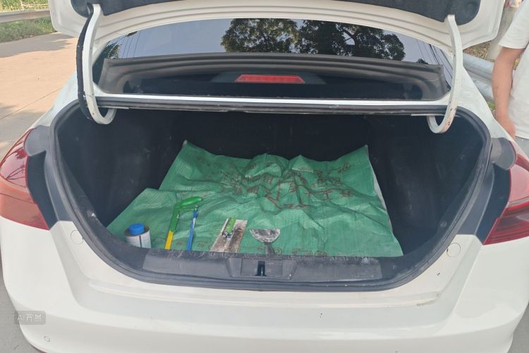 GEELY Emgrand 2020 car image #21