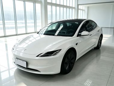 Tesla Model 3 2023 Tesla Model 3 2023 car image