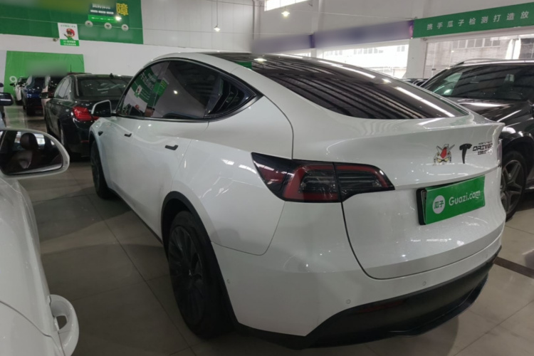 Tesla Model Y 2021 #5 Tesla Model Y 2021 car image #5