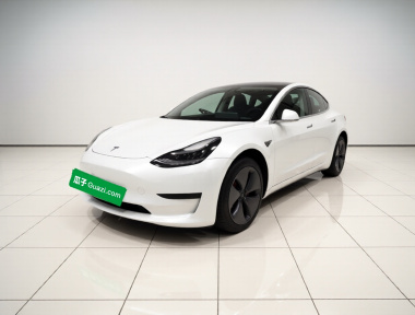 Tesla Model 3 2020 Tesla Model 3 2020 صورة سيارة
