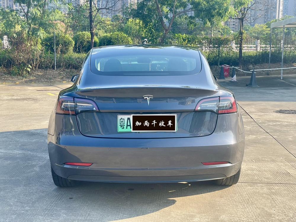 Tesla Model 3 2020 car image #5