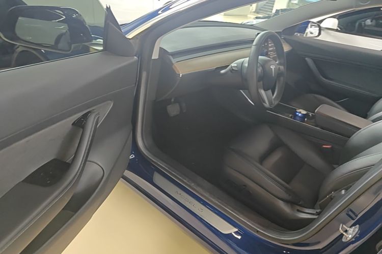 Tesla Model 3 2020 car image #16
