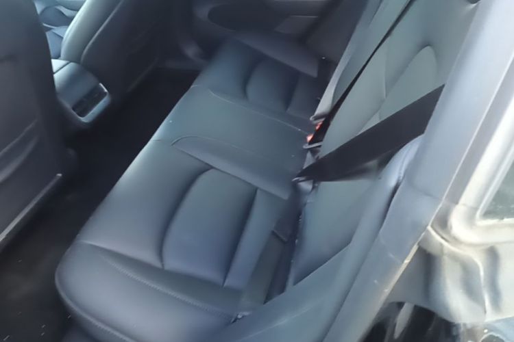 Tesla Model 3 2023 #13 Tesla Model 3 2023 car image #13
