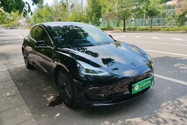 Tesla Model 3 2020 #6 Tesla Model 3 2020 car image #6