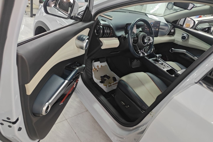BYD Yuan Plus 2023 car image #12