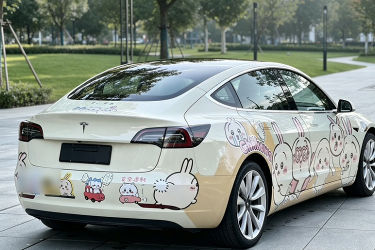 Tesla Model 3 2020 #7 Tesla Model 3 2020 car image #7
