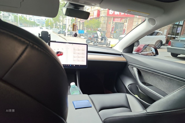 Tesla Model 3 2020 car image #20