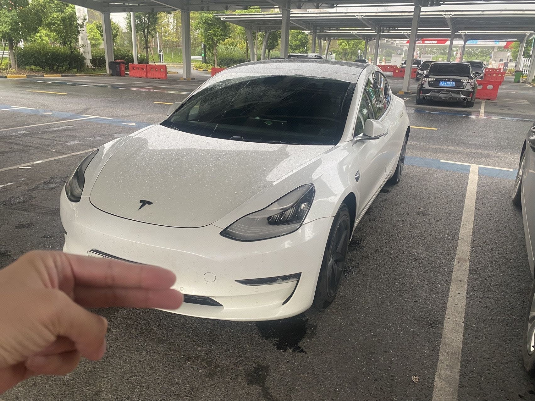 Tesla Model 3 (Imported) 2020 car image 