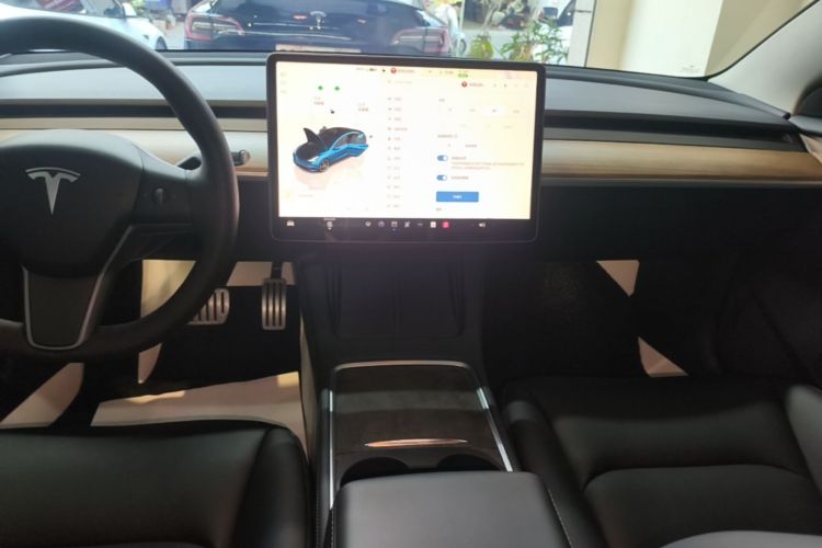 Tesla Model 3 2022 car image #13