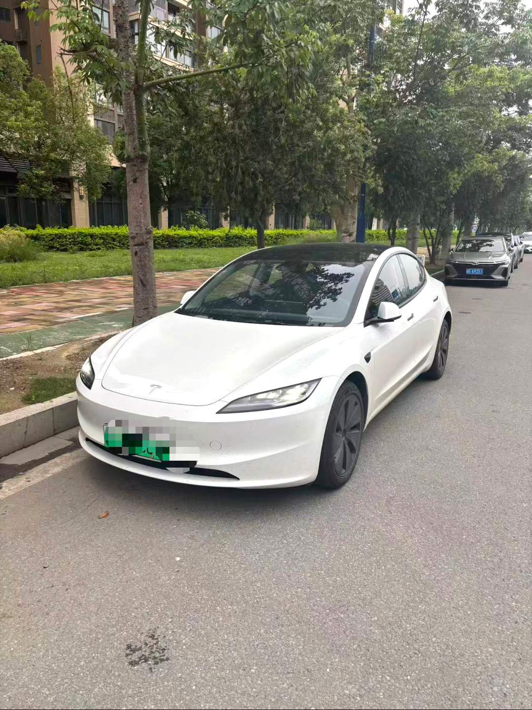 Tesla Model 3 2025 immagine di auto 