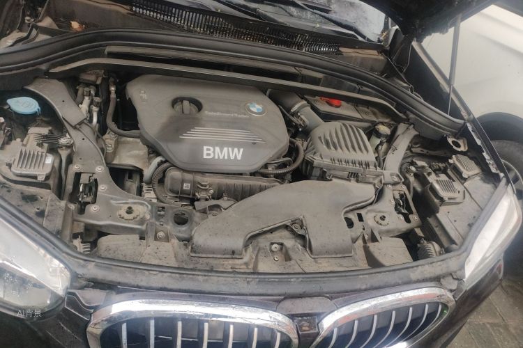 BMW X1 2017 imagem de carro #22