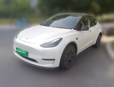 Tesla Model Y 2024 car image 