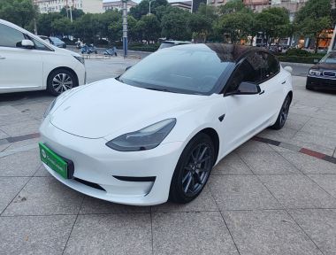Tesla Model 3 2021 car image 