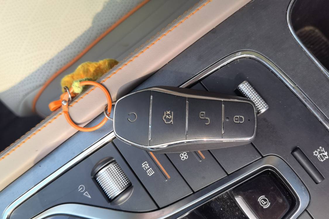 BYD Yuan Plus 2023 #28 BYD Yuan Plus 2023 immagine di auto #28