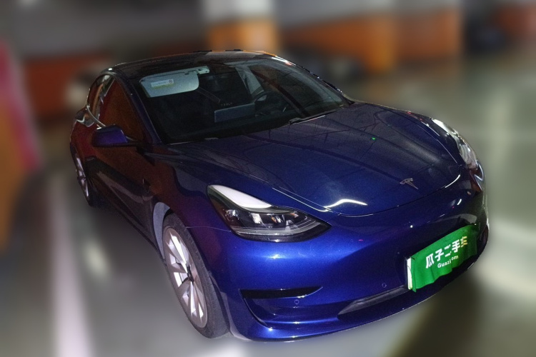 Tesla Model 3 2021 car image #4