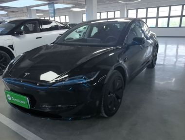 Tesla Model 3 2025 car image 