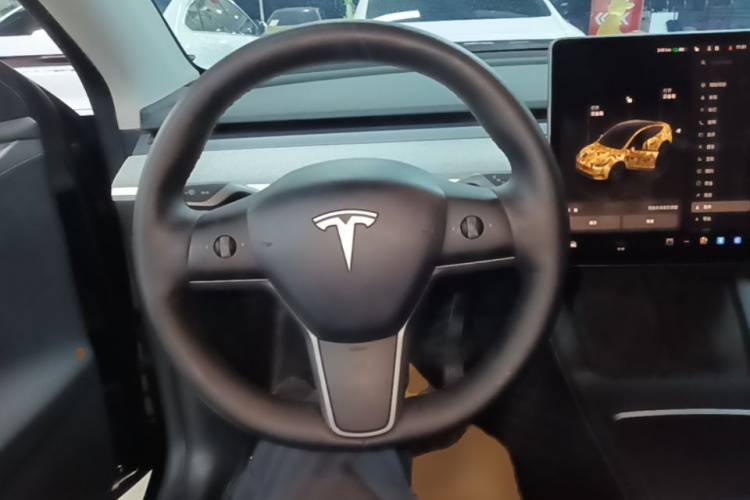 Tesla Model Y 2023 #11 Tesla Model Y 2023 car image #11