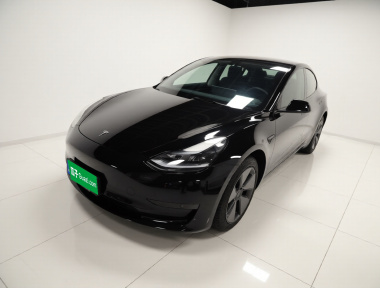 Tesla Model 3 2023 immagine di auto 