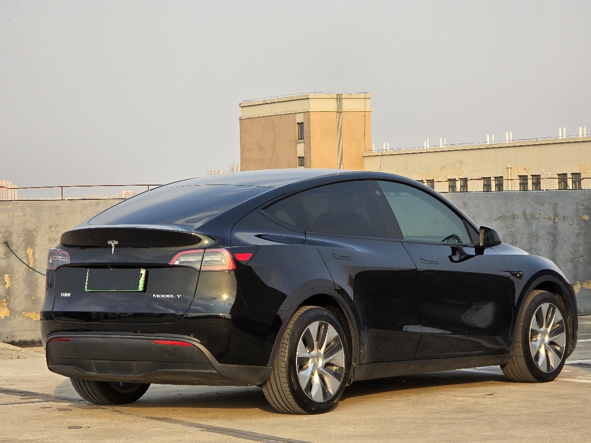 Tesla Model Y 2021 car image #9