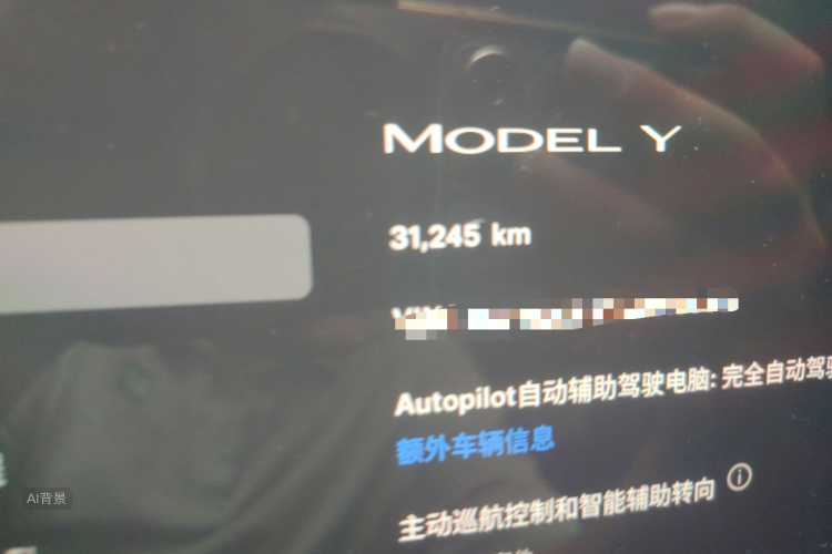 Tesla Model Y 2022 #14 Tesla Model Y 2022 car image #14