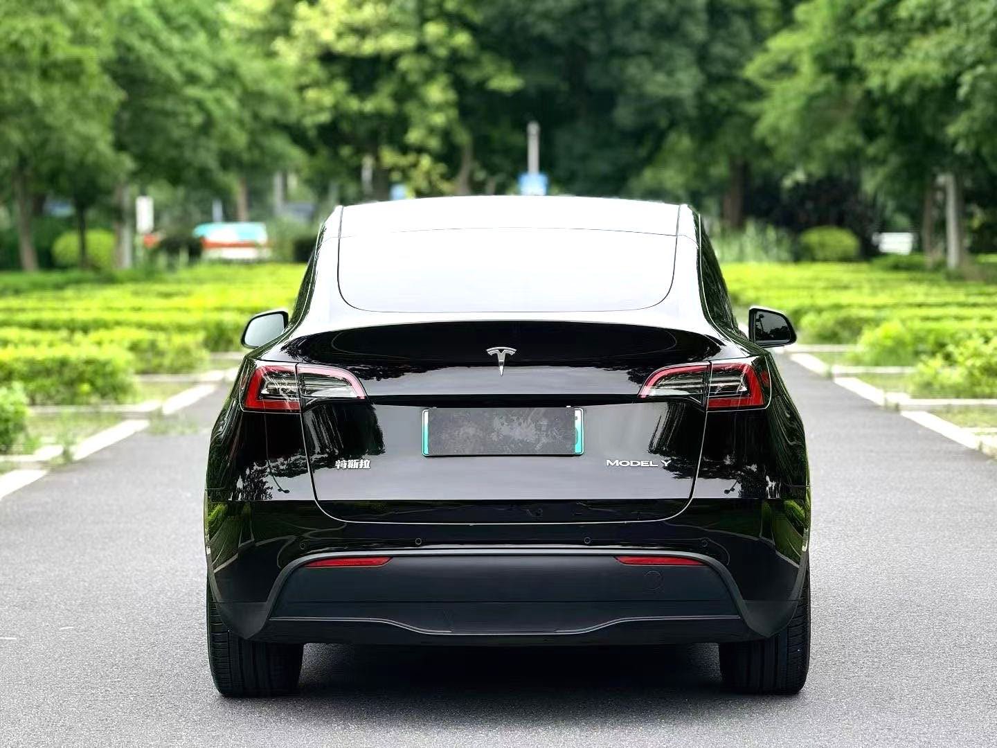 Tesla Model Y 2022 car image #7