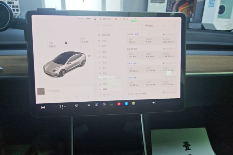 Tesla Model 3 2020 car image #17