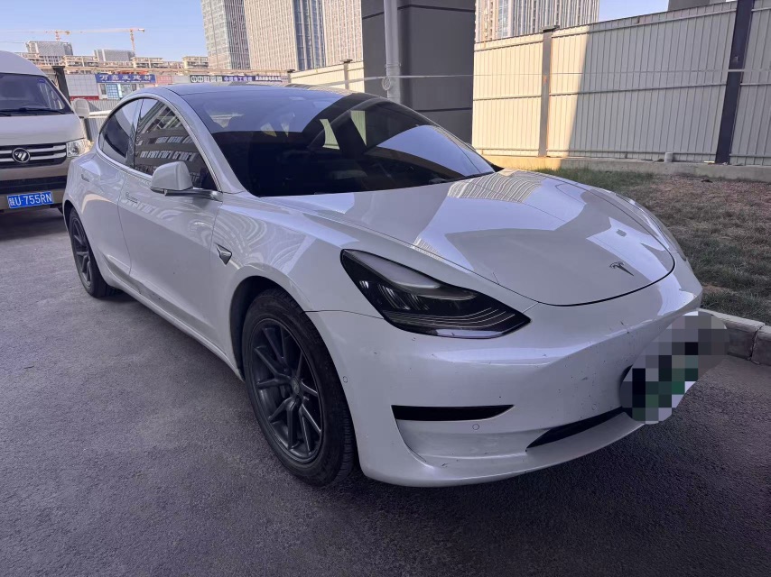 Tesla Model 3 2020 immagine di auto #2