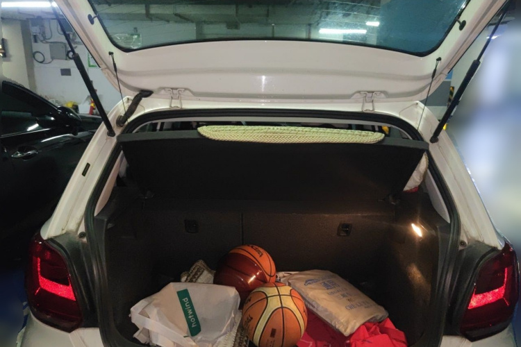 Volkswagen Polo 2015 car image #17