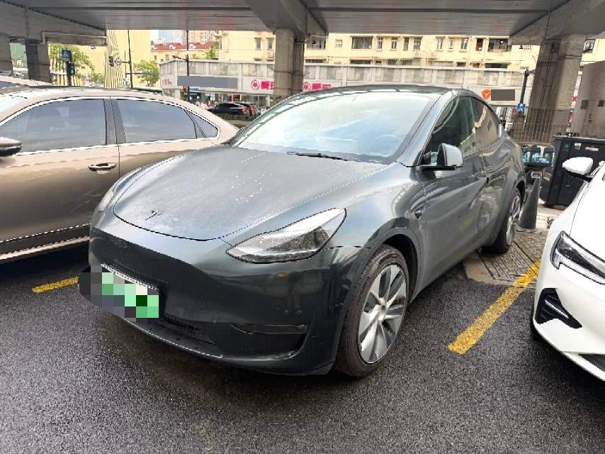Tesla Model Y 2021 Tesla Model Y 2021 car image