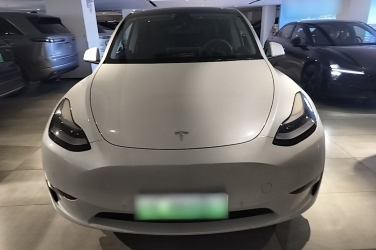 Tesla Model Y 2021 immagine di auto #3