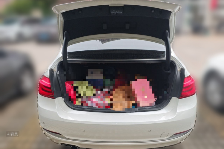 BMW 3 Series 2018 car image #21
