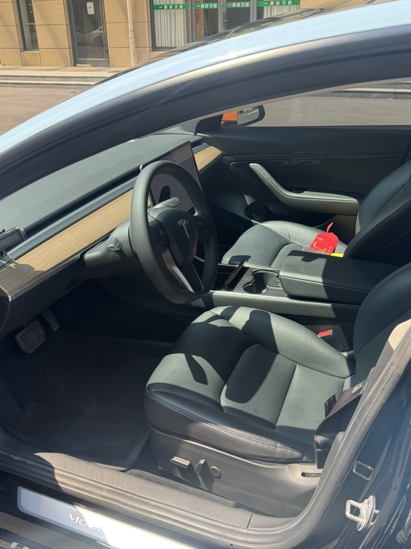 Tesla Model 3 2021 car image #4