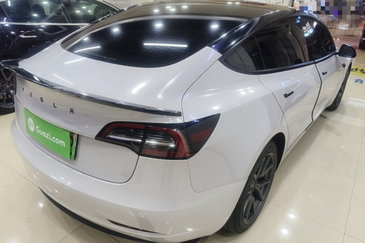 Tesla Model 3 2021 car image #5