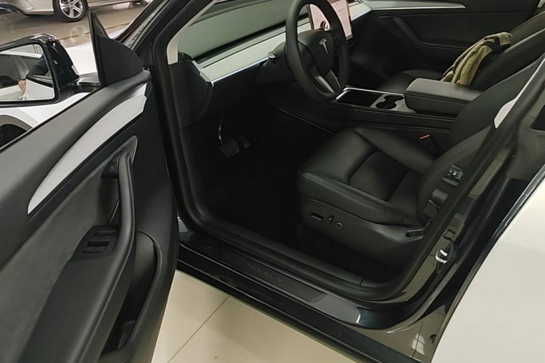 Tesla Model Y 2024 car image #12