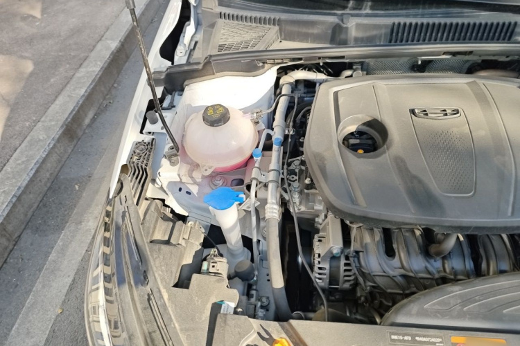 GEELY Emgrand 2024 immagine di auto #28