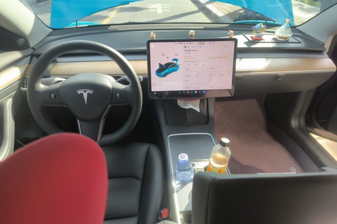 Tesla Model 3 2021 car image #21