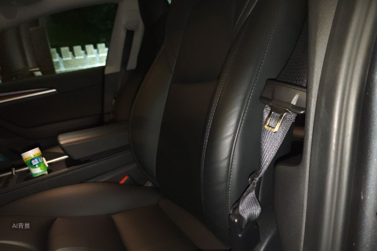 Tesla Model 3 2021 car image #17