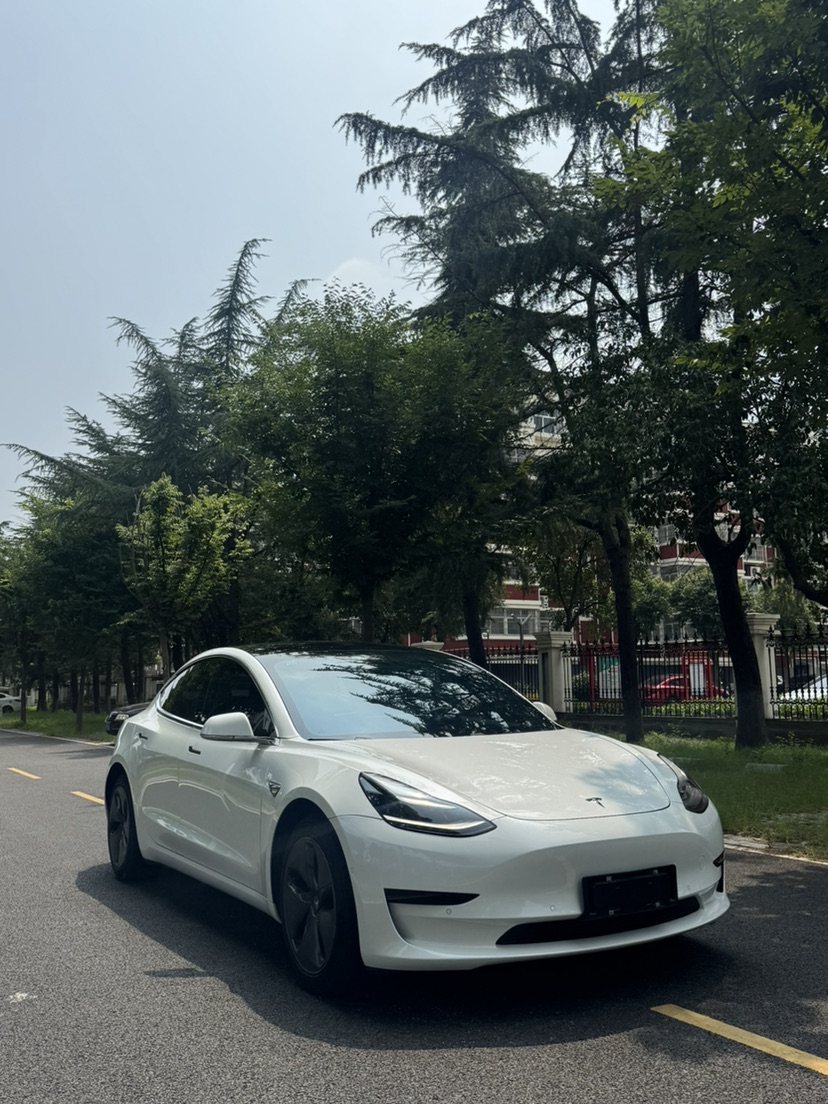 Tesla Model 3 (Imported) 2019 car image #3