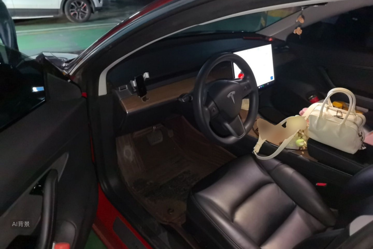 Tesla Model 3 2020 car image #18