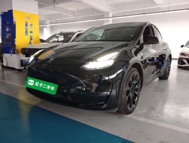 Tesla Model Y 2021 Tesla Model Y 2021 car image
