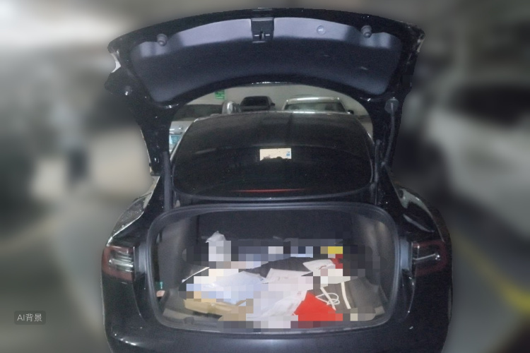 Tesla Model 3 2022 immagine di auto #21